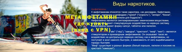 дмт Богданович