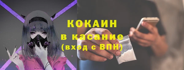 дмт Богданович