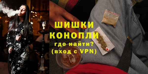 дмт Богданович