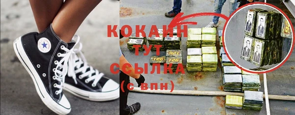 дмт Богданович