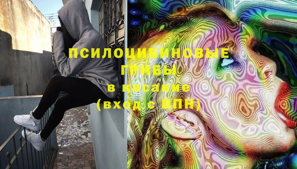 дмт Богданович