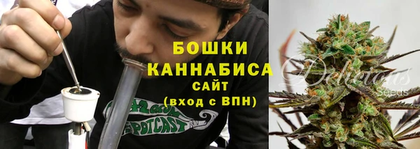 дмт Богданович